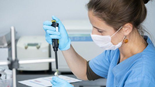 COVID-19: revelan qué tipo de sangre atrae más al virus