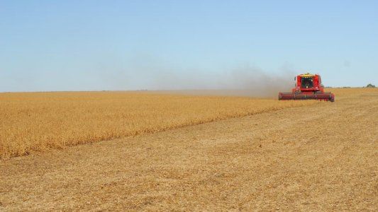 El lamento de un productor del agro: Tenemos miedo de desaparecer