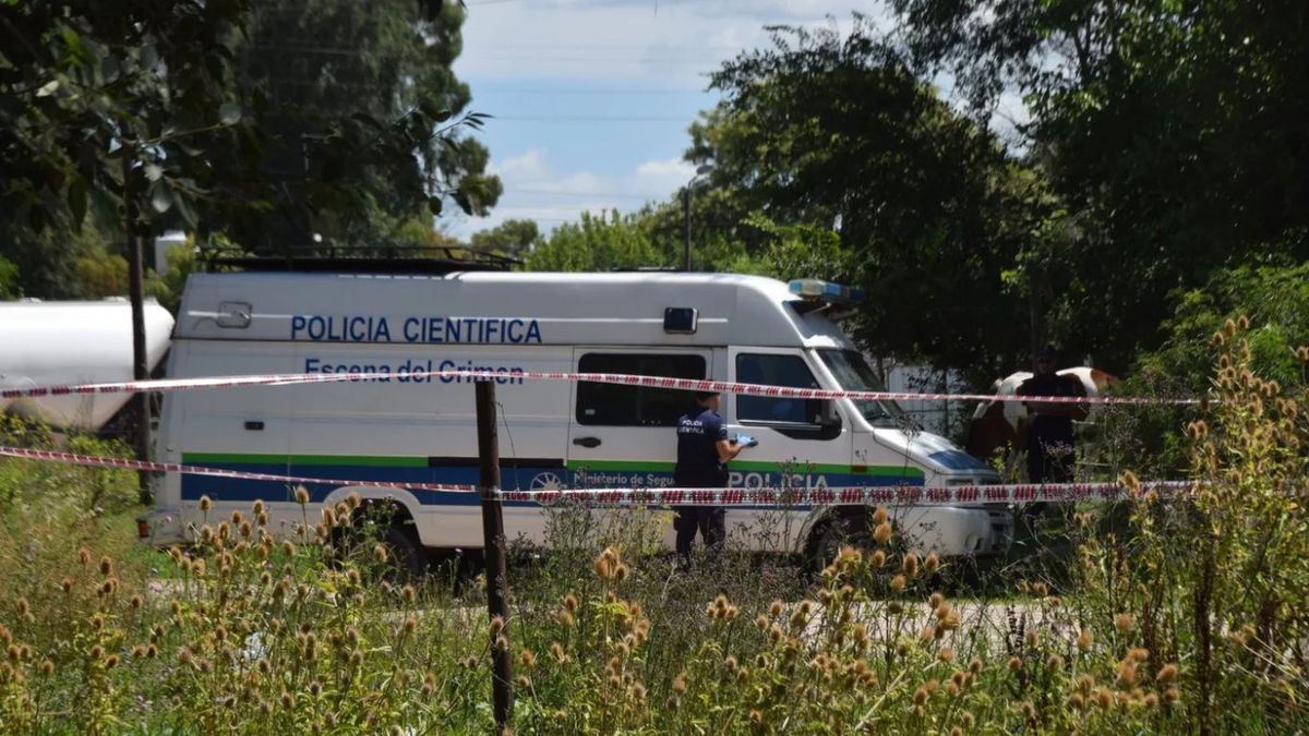 Fue a buscarlo para festejar Año Nuevo y lo encontró muerto: conmoción en Brandsen.