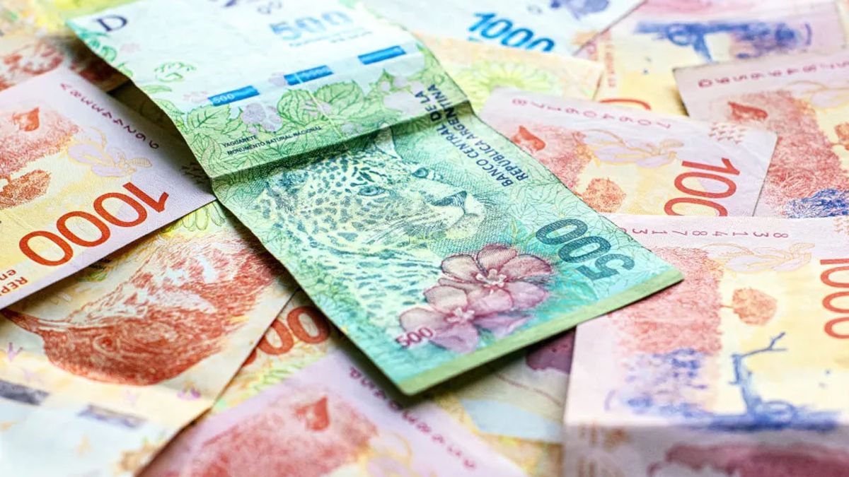NUEVA TASA para el PLAZO FIJO 2024 confirmada: cómo ganar $300 mil extra al mes (Foto: archivo)