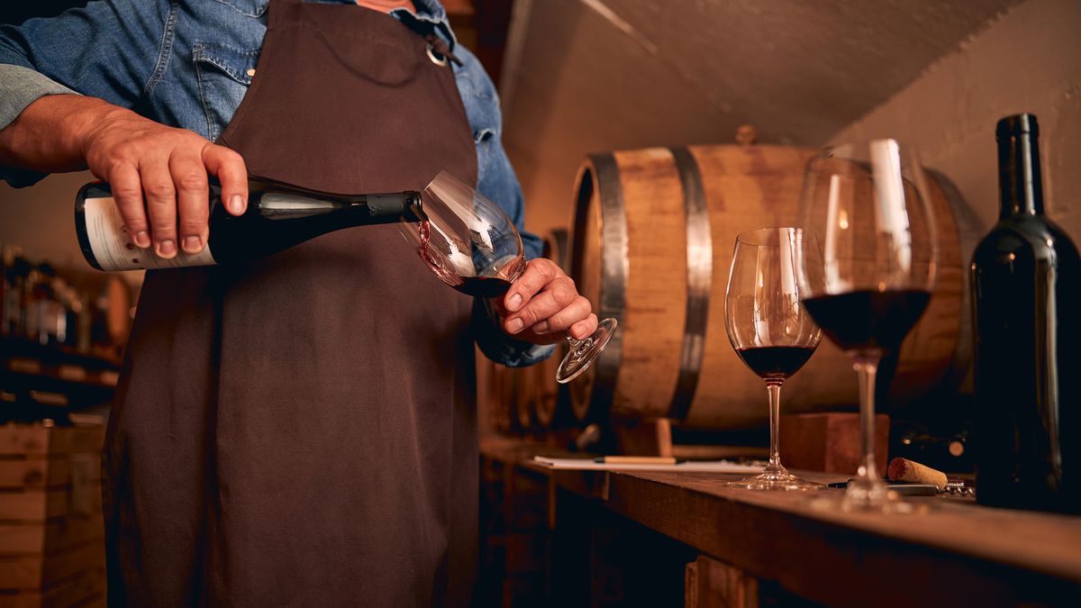 En los últimos 12 meses se exportaron 214 millones de litros de vino fraccionado y espumantes