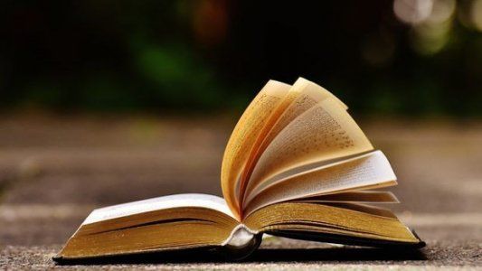 ¿La lectura es tan adictiva como una droga? El curioso diagnóstico de un académico (del siglo pasado)