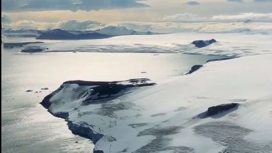 La investigación en la Antártida que visitó Milei y que tiene a los pingüinos como protagonistas