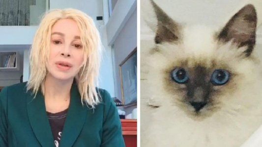 Poroto, el gato de Nacha Guevara, nuevo influencer