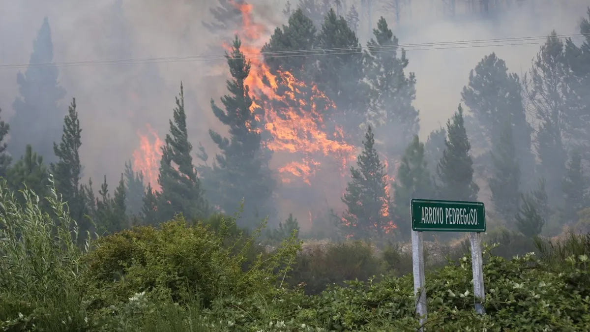 Alerta sobre intentos de estafa en medio del incendio forestal