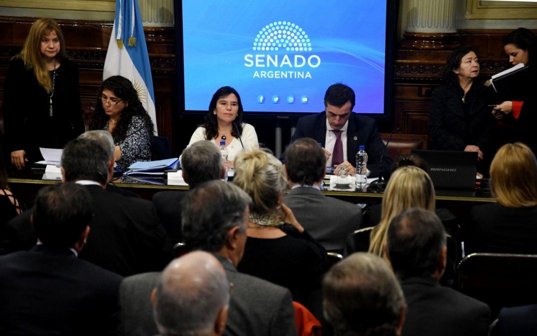 El PJ “razonable” le dio dictamen al proyeco anti-tarifazo y Cambiemos presentó su propio dictamen