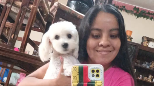 Una mujer llamó dos veces a emergencias porque tenía síntomas de dengue y murió horas después