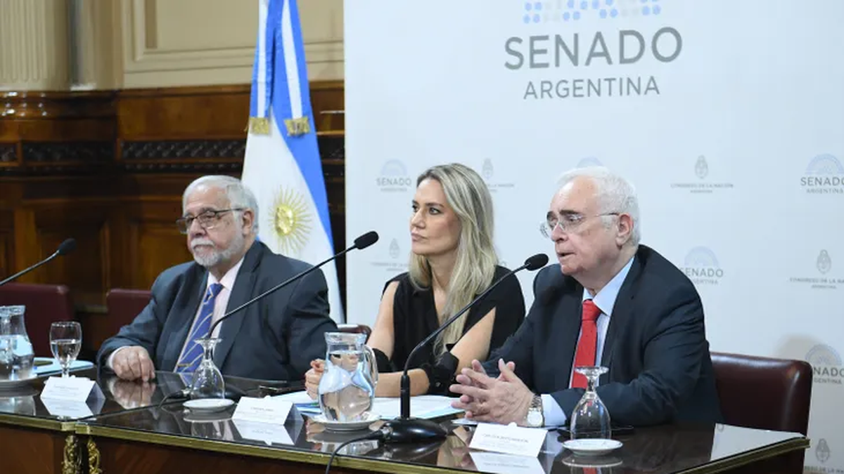 Carlos Manfroni, funcionario del Ministerio de Seguridad, junto a autoridades de las comisiones del Senado durante el debate de ley Antimafias.