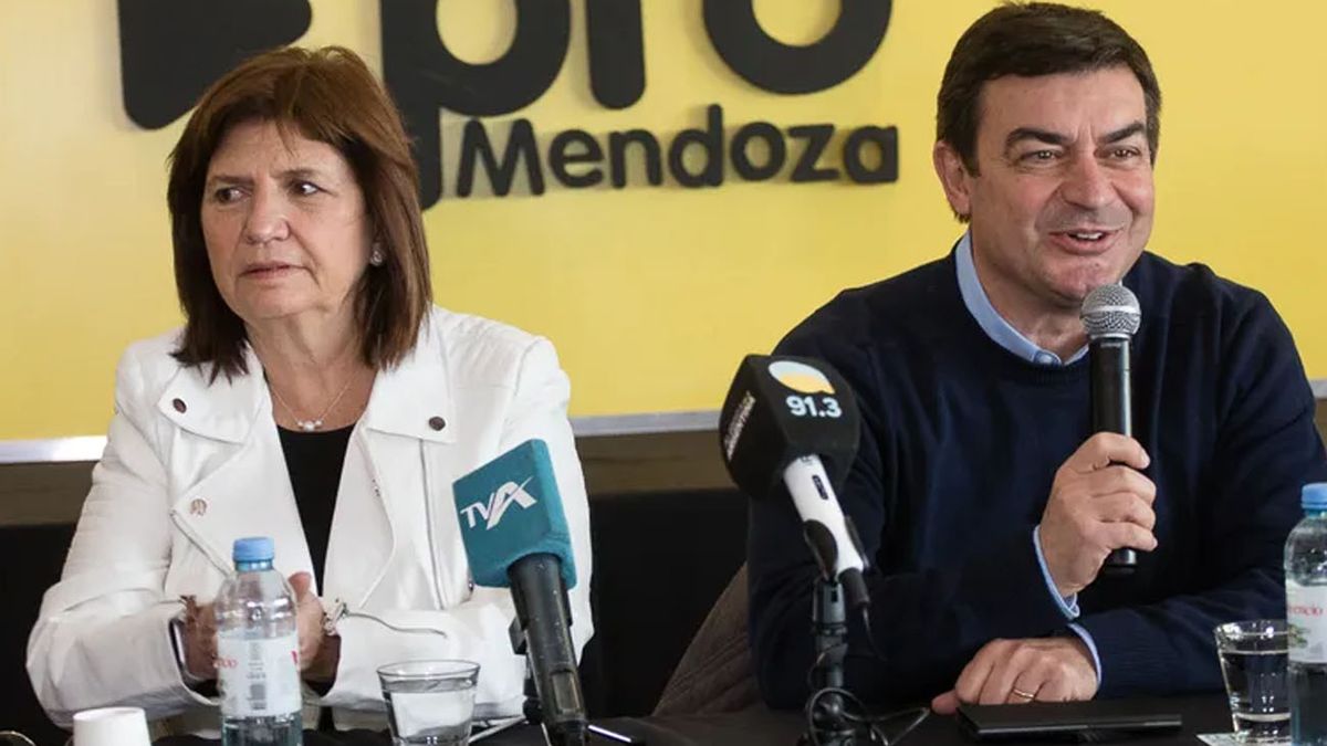 Patricia Bullrich desmintió a un funcionario por la difusión de una fake news sobre inseguridad (Foto: archivo)