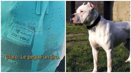 Confesó cómo mató de un tiro a su propio perro y quedó grabado en un video