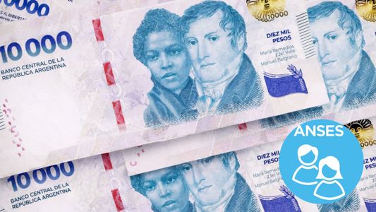 AUH y Tarjeta Alimentar: ANSES paga $330.000 a familias tipo