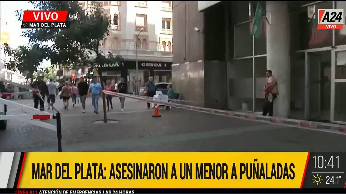 El menor fue atacado en pleno centro de Mar del Plata. Foto: captura de Tv.