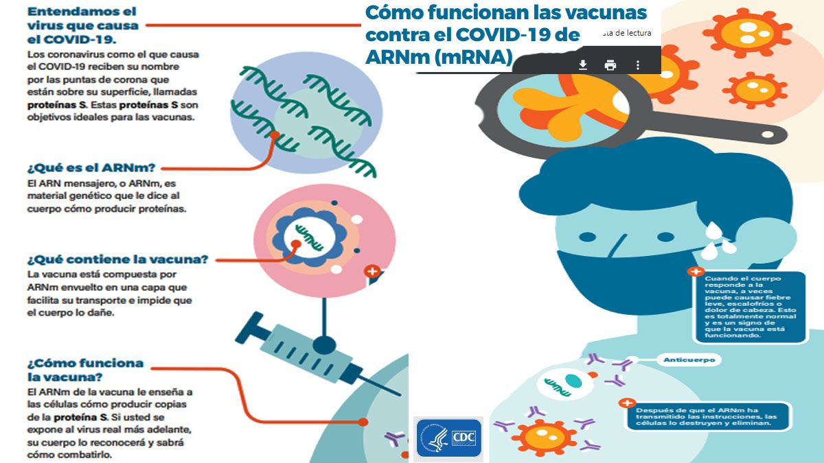 Cómo funciona la vacuna de ARNmensajero aprobada para niños de 5 meses a 6 años (Foto: CDC)