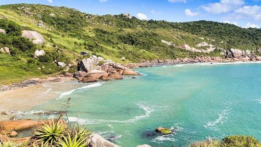 Epidemia de diarrea en Florianópolis: identificaron la causa del brote mientras aumentan los casos