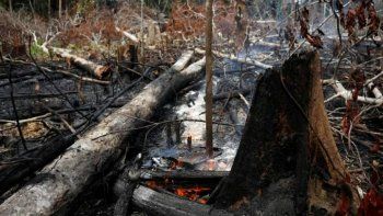 El G-7 se comprometió a ayudar con los incendios del Amazonas y Bolsonaro dio por finalizada la crisis ambiental