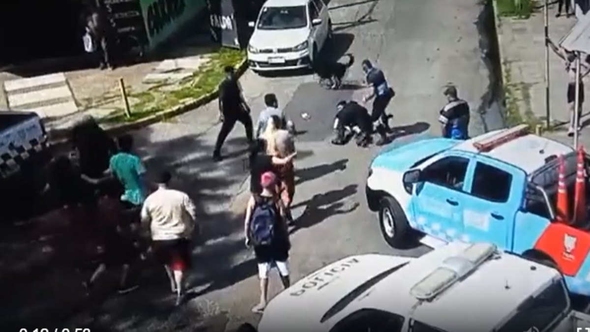 El momento de la agresión a los agentes. (Foto: captura)