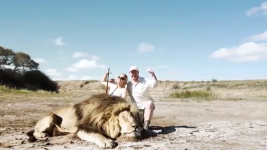 Polémica Vannucci - Garfunkel: El video viral donde un león se come a una pareja de cazadores
