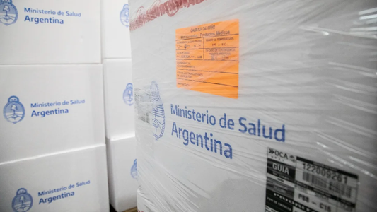 Llegaron las vacunas contra el dengue al país: cómo y dónde conseguirlas