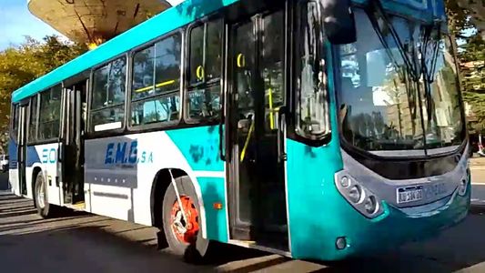Paro de colectivos: balearon a un chofer y paralizaron tres líneas por 24 horas