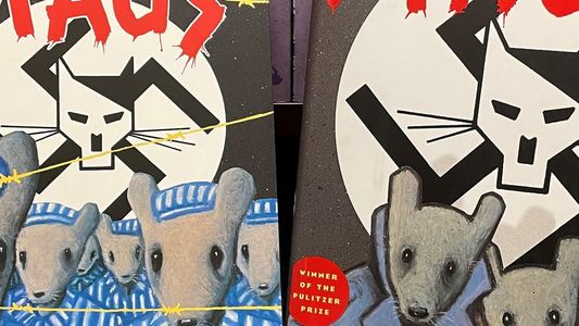 Prohibieron un libro sobre el Holocausto y ahora es el libro más vendido en Amazon