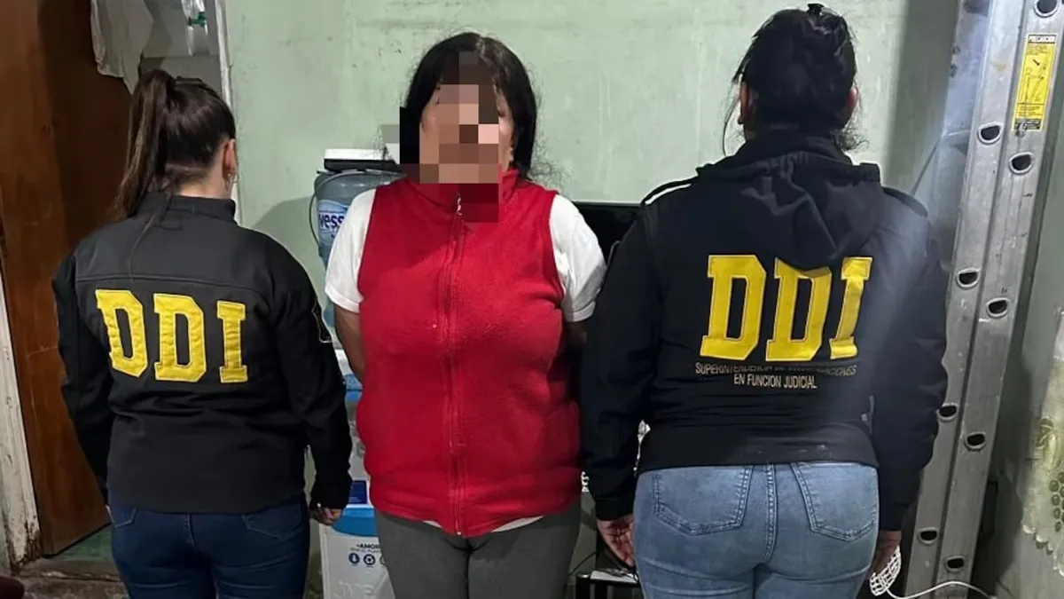 La mujer detenida es la mam&aacute; de uno de los acusados&nbsp;