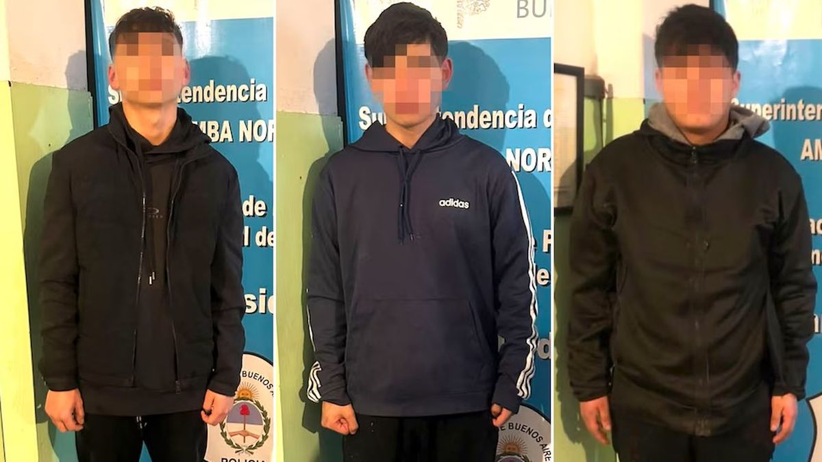 Los tres adolescentes fueron detenidos y quedaron identificados como menores de 17, 16 y 13 años. (Foto: Policía de Buenos Aires)
