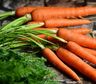 Comer zanahoria todos los días: los increíbles beneficios, según la ciencia