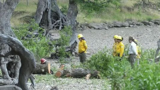 Juicio a cuatro guardaparques por la muerte de dos niños: la medida en apoyo a los acusados