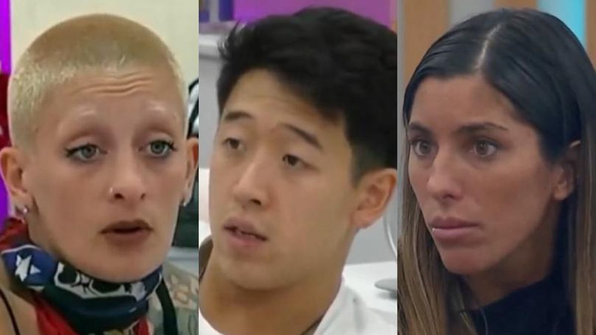 furia, martín, catalina_gran hermano.jpeg