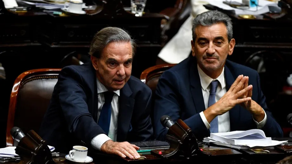 Ley ómnibus: Miguel Ángel Pichetto le pidió flexibilidad al Gobierno (Foto: Telam).