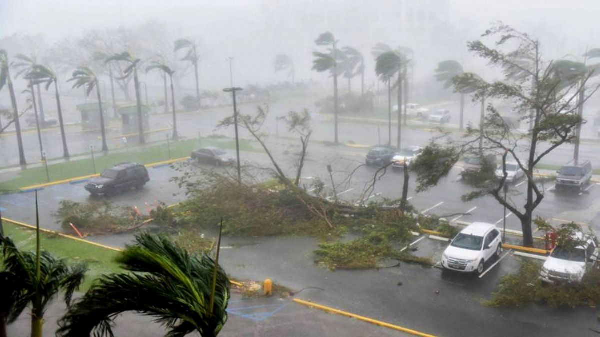 38 personas murieron a causa del huracán Ian  (Foto: Télam).