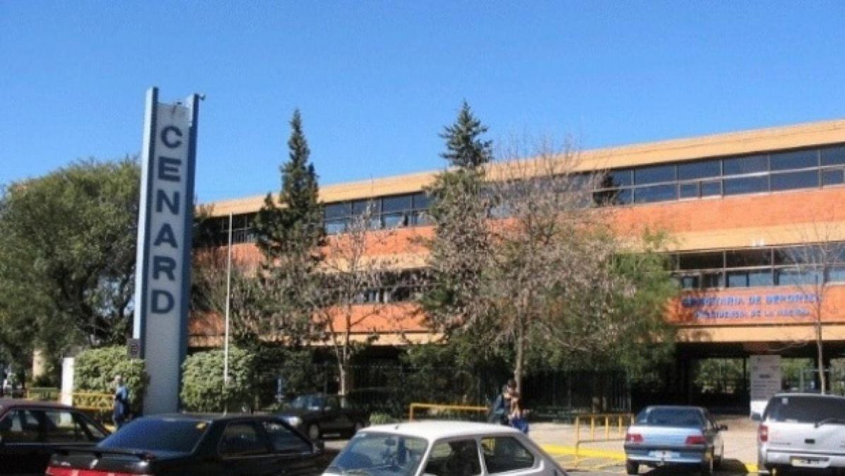 Estudio: el presupuesto para políticas deportivas cayó 56% respecto de 2023 y hay preocupación entre los atletas