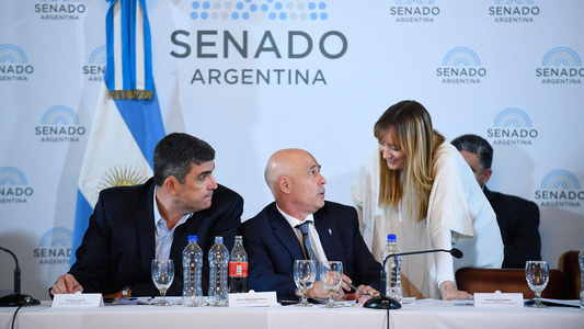 Ley de Bases y paquete fiscal: el oficialismo concretó la firma de los dictámenes en el Senado