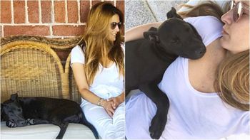 La feliz noticia para Isabel Macedo tras la pérdida de su perrita Cholita
