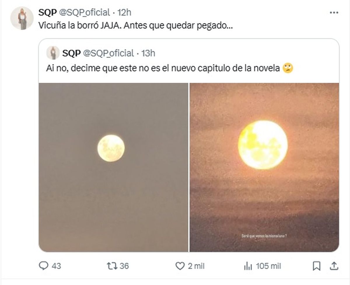 https://media.a24.com/p/5a2c0162b26ad5de672d1e1898baebc3/adjuntos/296/imagenes/009/551/0009551797/1200x0/smart/tw-sqp-posteos-luna-vicuna-y-wandajpg.jpg