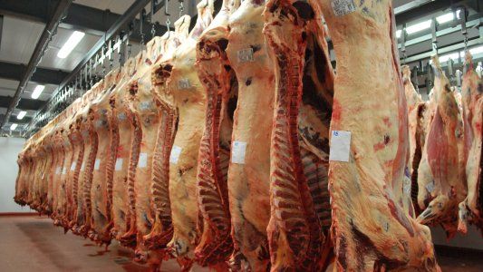 Suspenden a 15 exportadores de carne por evadir controles