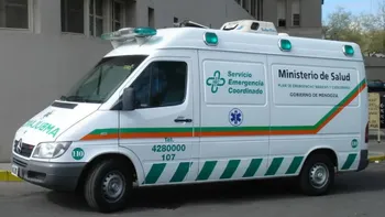 Conmoción por la muerte de un bebé de un año: cayó a la pileta y su mamá intentó reanimarlo