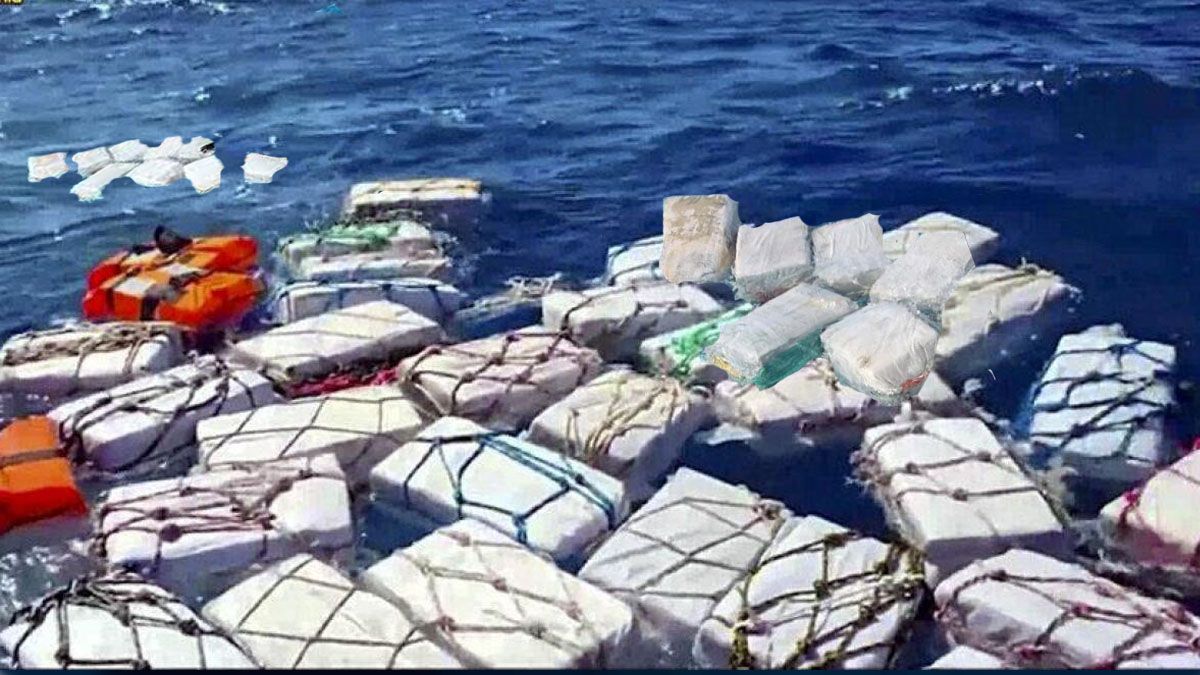 Paquetes de cocaína flotan en el mar abandonado por traficantes. Los tiburones lo están adoptando como un 