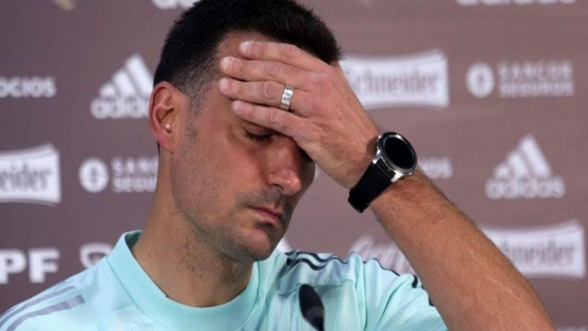 Lionel Scaloni - entrenador de la Selección Argentina