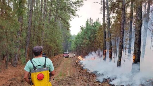 Incendios en Corrientes: el fuego alcanzó un hotel y tuvieron que evacuar a los turistas