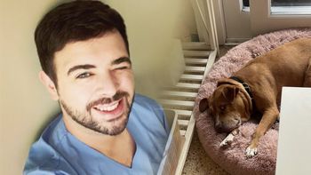 El pediatra que gana como un paseador de perros y quiere dejar todo por un like