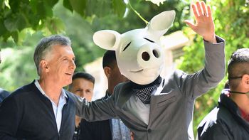Mauricio Macri junto a Chancho blanco, uno de los personajes pintorescos de la votación. Mauricio Macri junto a Chancho blanco, uno de los personajes pintorescos de la votación.