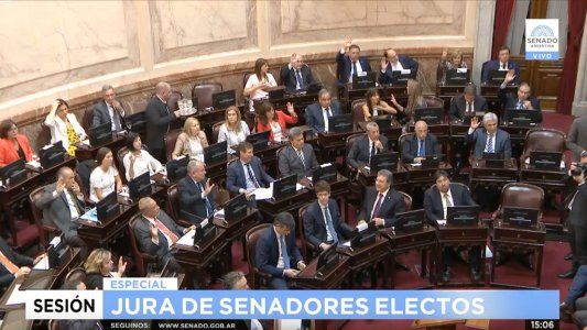 El Senado aprobó una licencia de seis meses sin goce de sueldo para Alperovich