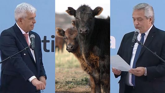 El primer desafío del ministro Julián Domínguez: la cadena de la carne reclamó por las exportaciones