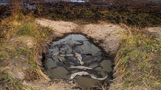 Corrientes: por el avance de los incendios, varias familias debieron ser evacuadas