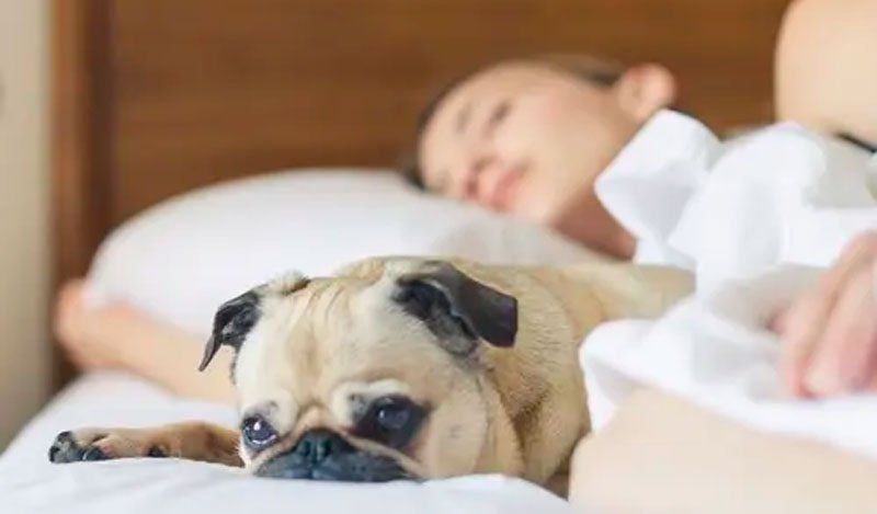 Descanso y vuelta a clases: ¿Cómo retomar la rutina de horarios con niños post vacaciones?