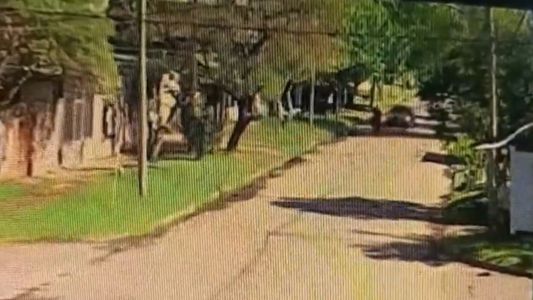 Discutieron, se cruzaron al día siguiente y tomó una decisión brutal que quedó grabada
