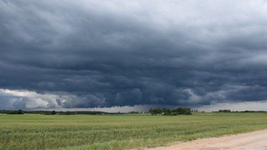 La lluvia aparece nuevamente en el horizonte del campo: ¿Qué pronostica el INTA?
