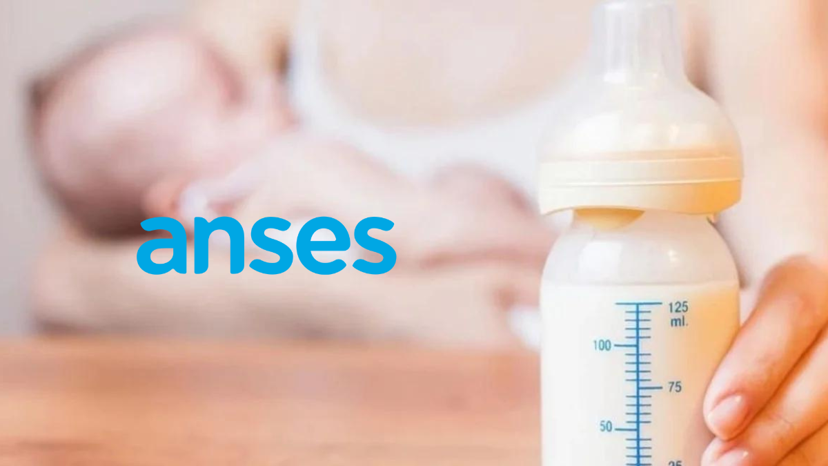 ANSES actualizó el monto del Plan 1000 días para AUH y AUE: ¿cuánto se cobra en junio?
