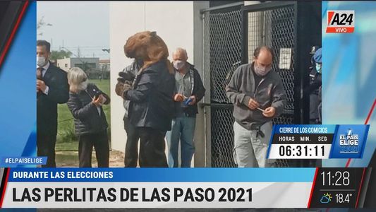 PASO 2021: las perlitas a la hora de votar en las escuelas